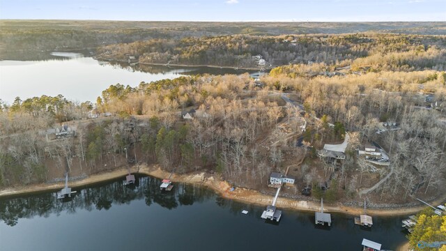 2221 County Road 870, Crane Hill, AL 35053