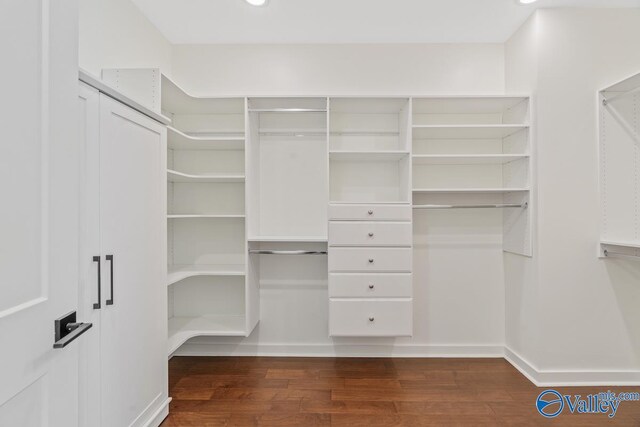 spacious closet with dark hardwood / wood-style flooring