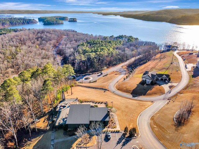 bird's eye view with a forest view and a water view