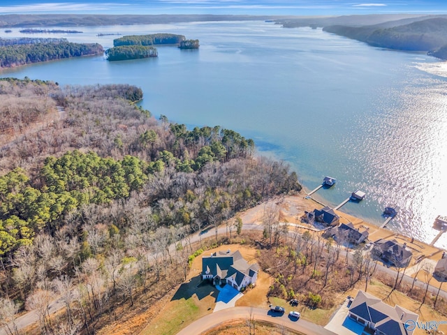 drone / aerial view with a water view and a wooded view