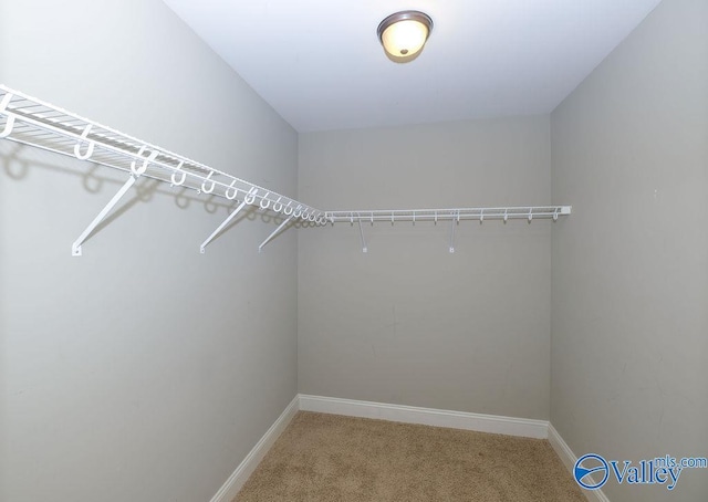 spacious closet with carpet floors