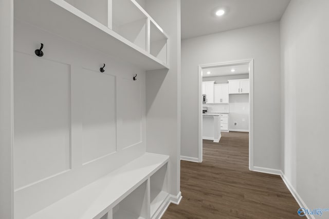 mudroom with dark hardwood / wood-style floors