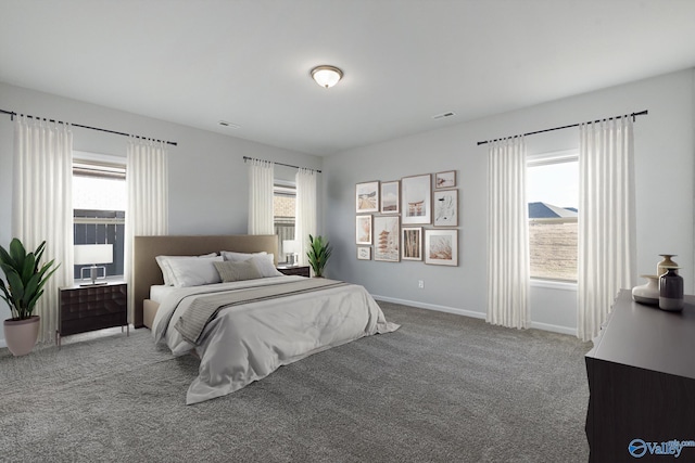 bedroom with multiple windows and carpet floors