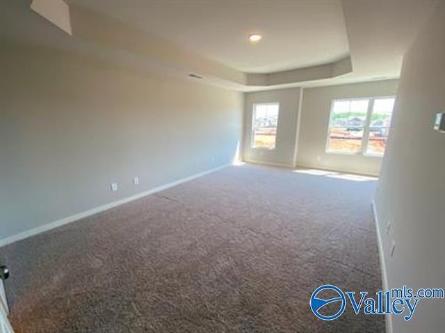 spare room featuring a raised ceiling and carpet