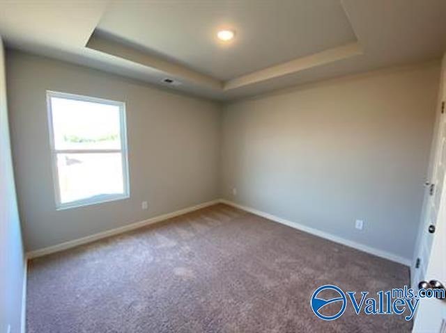 empty room with a raised ceiling and carpet