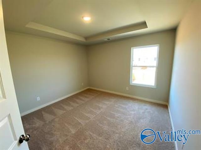 carpeted spare room featuring a tray ceiling