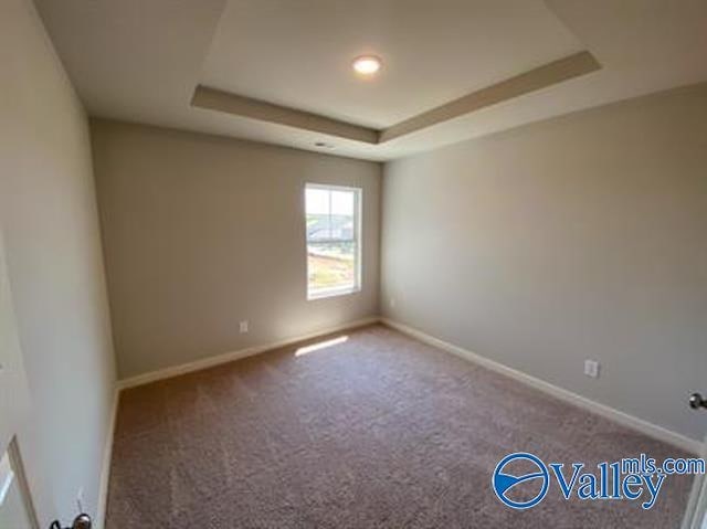 spare room with a raised ceiling and carpet flooring