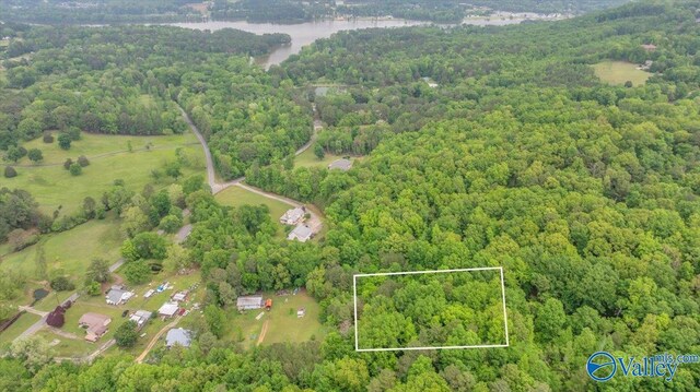 14.87 Fowlers Ferry Rd S, Southside, AL 35907