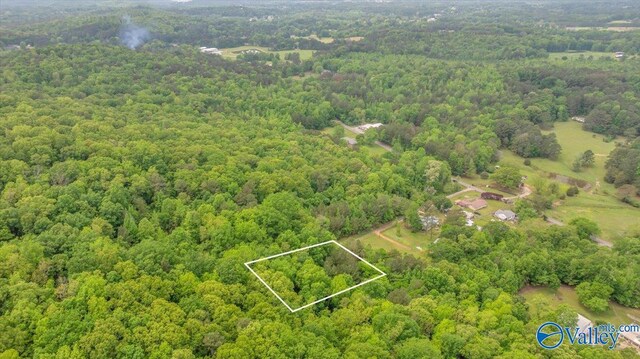 14.87 Fowlers Ferry Rd S, Southside, AL 35907