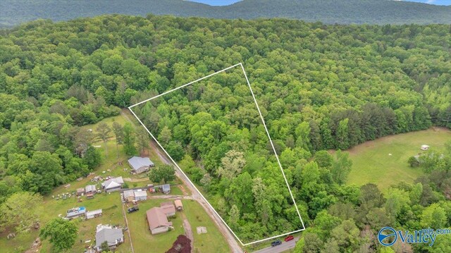 14.87 Fowlers Ferry Rd S, Southside, AL 35907
