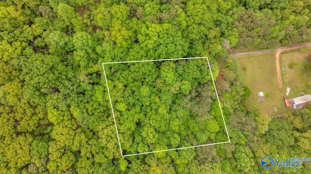 14.87 Fowlers Ferry Rd S, Southside, AL 35907