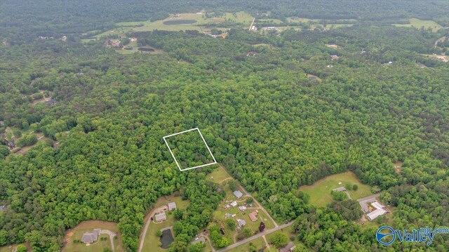 14.87 Fowlers Ferry Rd S, Southside, AL 35907