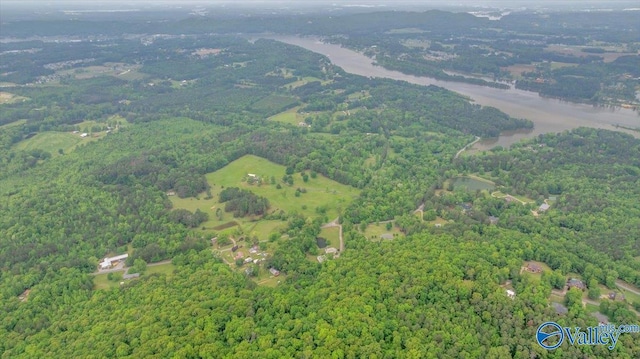 14.87 Fowlers Ferry Rd S, Southside, AL 35907