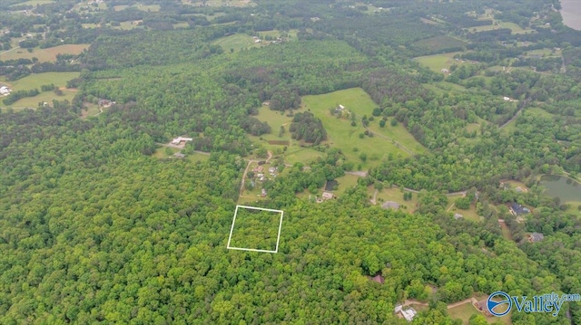 14.87 Fowlers Ferry Rd S, Southside, AL 35907