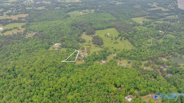 14.87 Fowlers Ferry Rd S, Southside, AL 35907