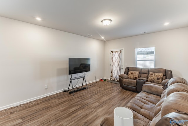 living room featuring wood-type flooring