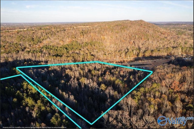 20ACRES0 County Highway 41, Altoona AL, 35952 land for sale