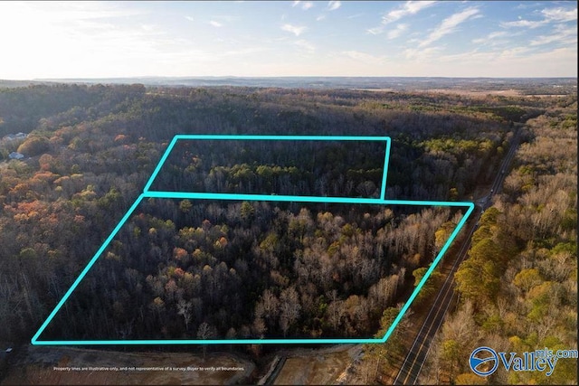 Listing photo 2 for 20ACRES0 County Highway 41, Altoona AL 35952