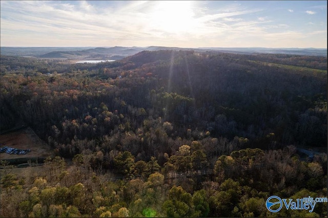 Listing photo 3 for 20ACRES0 County Highway 41, Altoona AL 35952