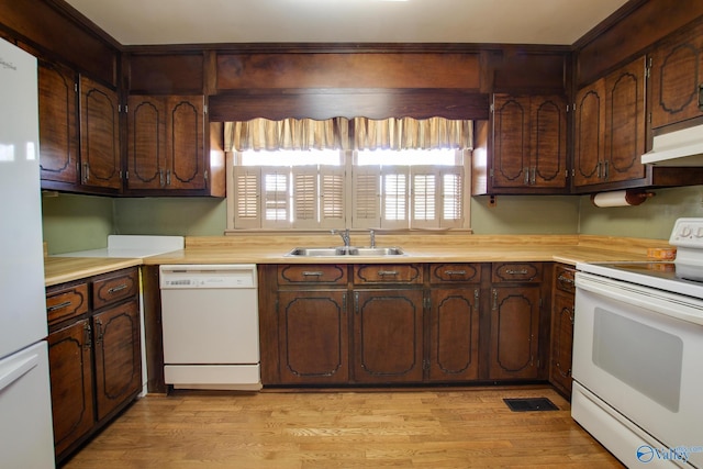 kitchen featuring dark brown cabinetry, sink, white appliances, and light wood-type flooring