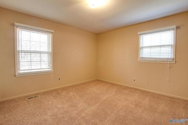 carpeted spare room with a wealth of natural light