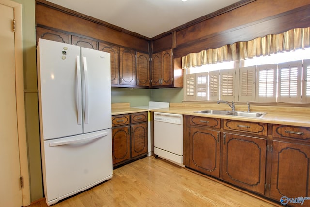 kitchen featuring white appliances, a healthy amount of sunlight, sink, and light wood-type flooring