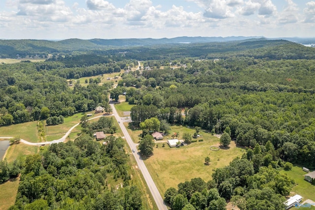 drone / aerial view with a mountain view