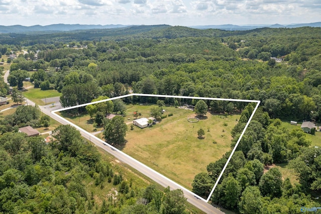 drone / aerial view featuring a mountain view