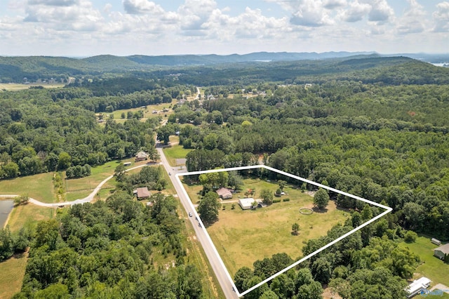 aerial view with a mountain view