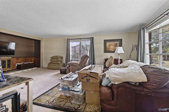 living room with light carpet and a textured ceiling