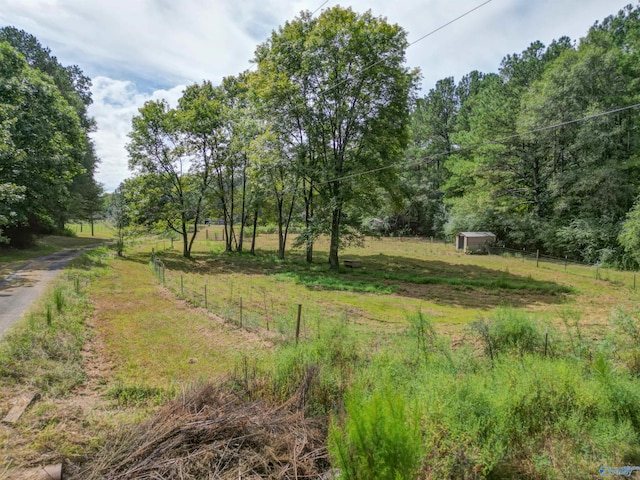 view of yard with a rural view