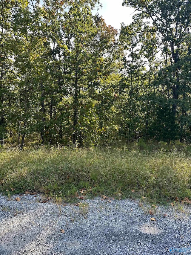 30-31 County Road 819, Cedar Bluff AL, 35959 land for sale