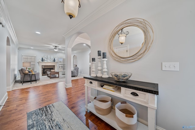 interior space with hardwood / wood-style floors, crown molding, and ceiling fan