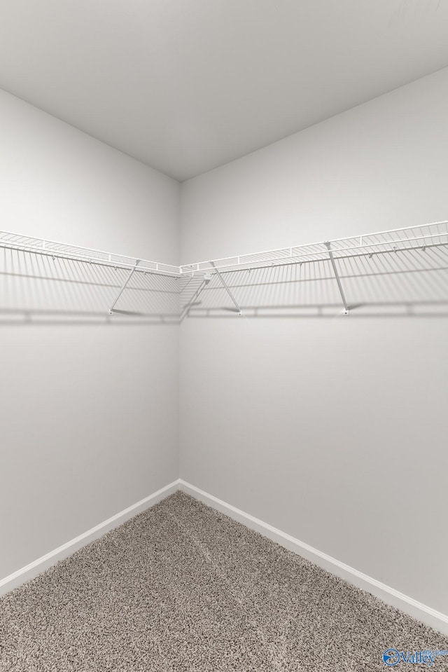 196 Murphy Ln, Madison, AL 35756 - spacious closet featuring carpet