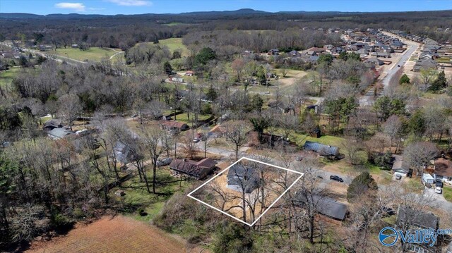 bird's eye view