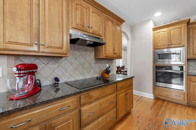 kitchen with light wood-type flooring, under cabinet range hood, tasteful backsplash, dark stone countertops, and stainless steel appliances