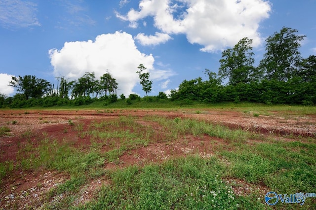 146 Knockash Hl, Madison, AL 35756