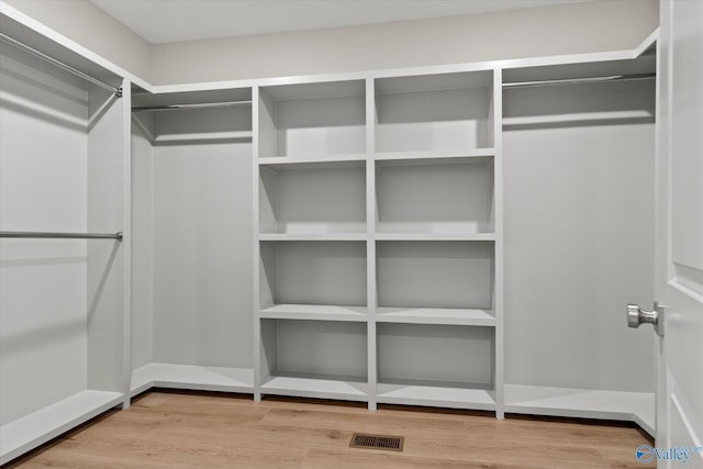 spacious closet featuring wood-type flooring