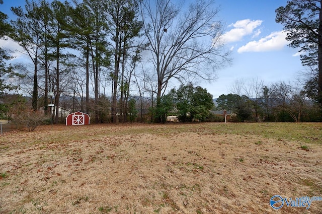 view of yard featuring a storage unit