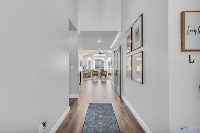 hall featuring wood-type flooring