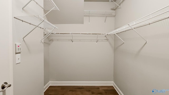 walk in closet with wood finished floors