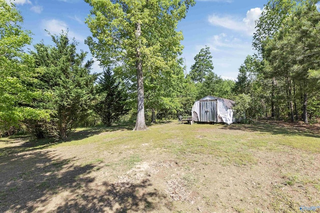 view of yard with a storage shed and an outdoor structure