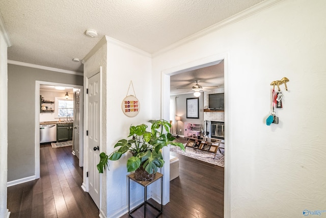 corridor featuring ornamental molding, dark hardwood / wood-style floors, sink, and a textured ceiling