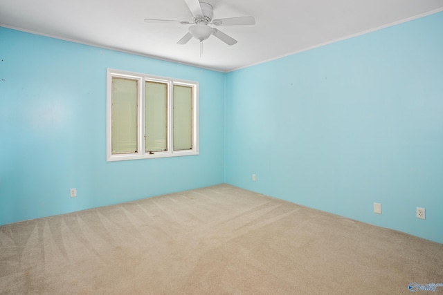 carpeted spare room with ornamental molding and ceiling fan