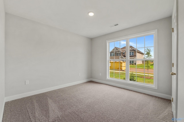 carpeted empty room featuring a wealth of natural light