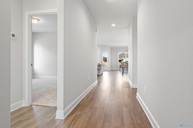 hallway featuring hardwood / wood-style floors