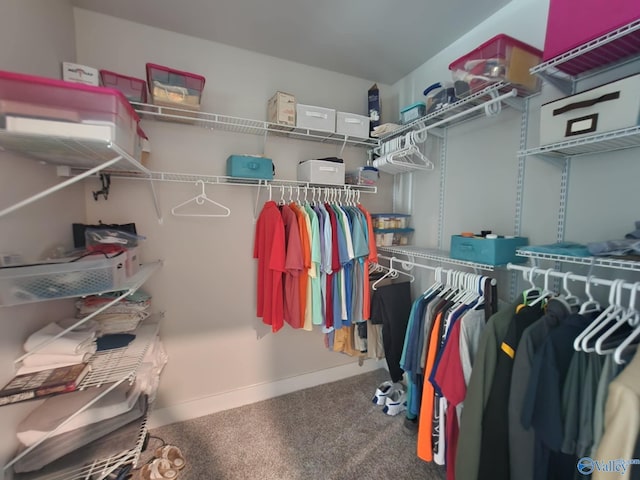 walk in closet featuring carpet