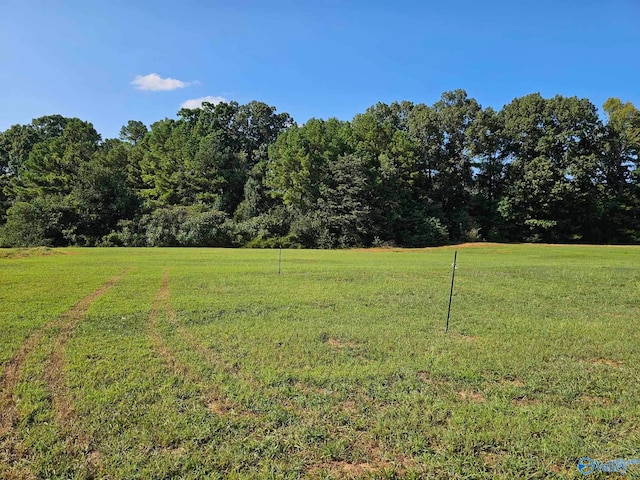 13891 Hatchie Ln, Athens AL, 35611 land for sale