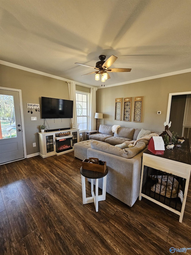 living area featuring ornamental molding, a ceiling fan, dark wood-style flooring, baseboards, and a fireplace