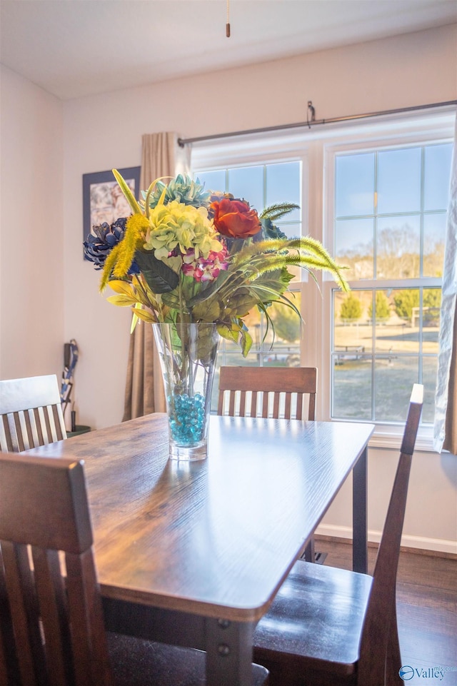 dining room with hardwood / wood-style flooring